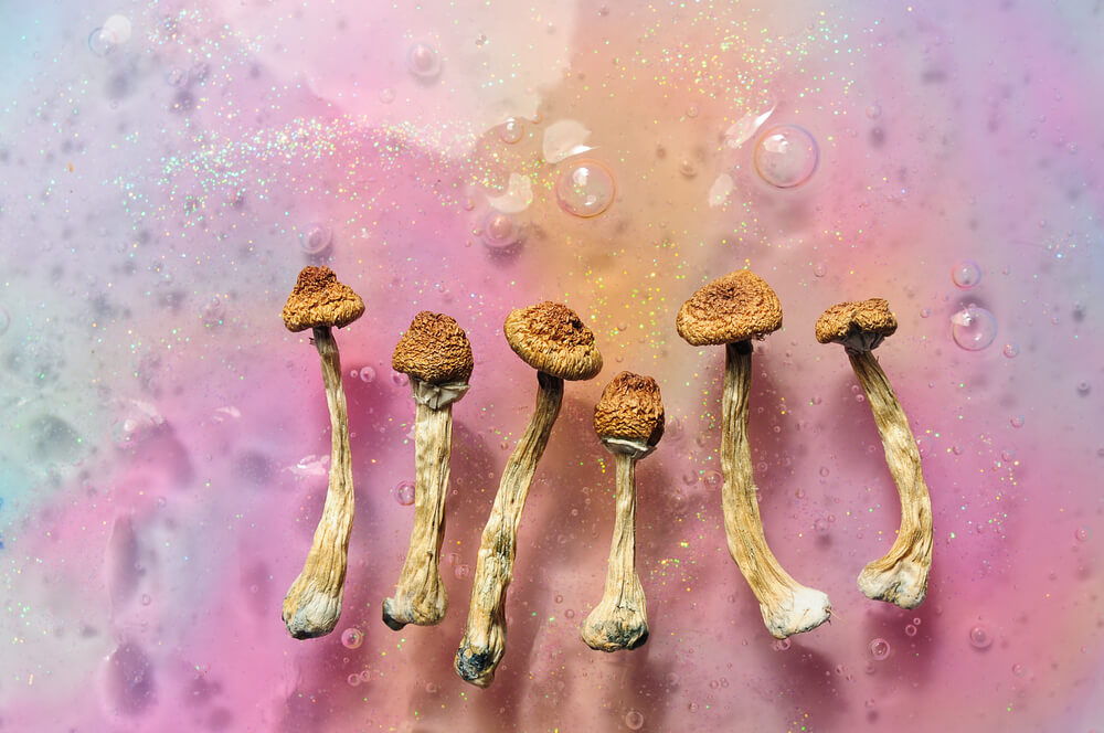 A bunch of magic mushrooms sitting on a colourful backdrop, looking very psychedelic