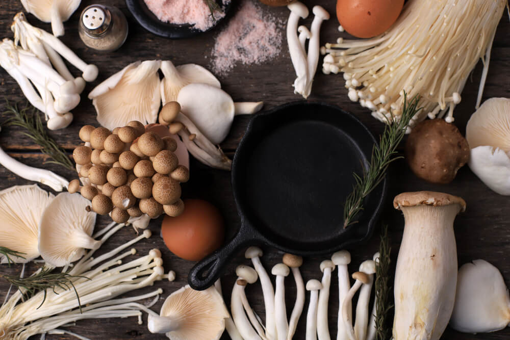 Are medicinal mushrooms safe?