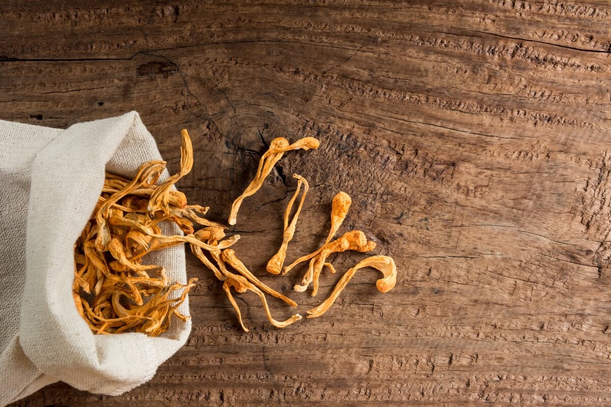 Cordyceps mushrooms in a white linen bag poured over a wooden table