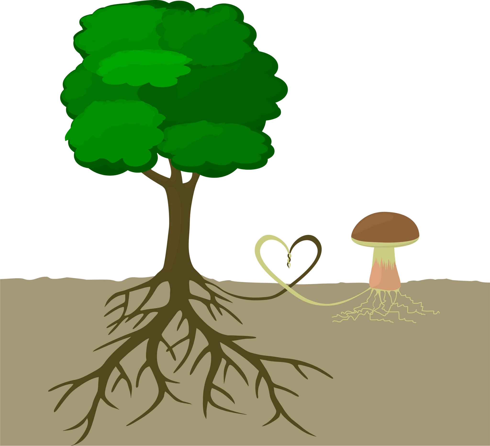 cartoon image of tree roots connecting with mushroom roots (mushroom mycelium)